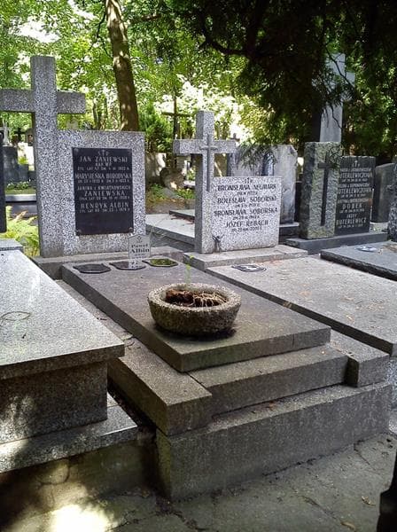 Zdjęcie grobu Romana Horodyska (1)