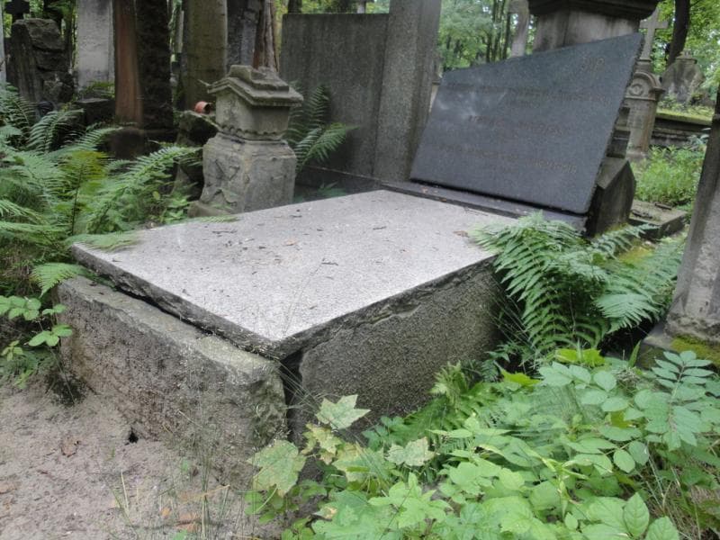Zdjęcie grobu Cezara Janina Markowska Wilczyńska (1)