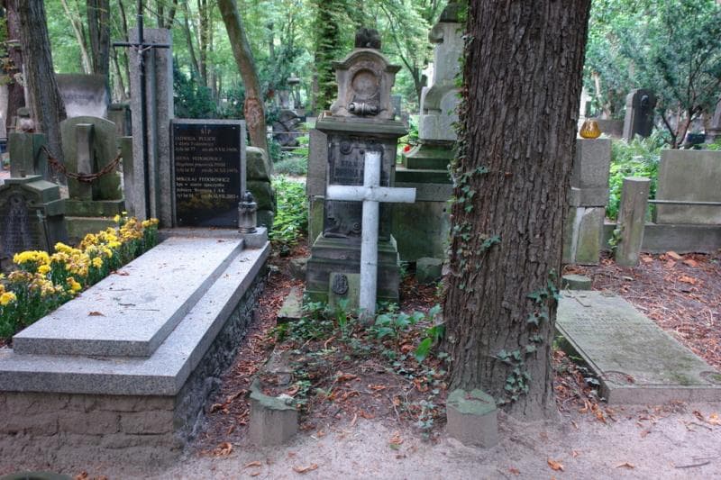 Zdjęcie grobu: Stanisław Downarowicz
