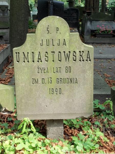 Zdjęcie grobu Julja Umiastowska (1)