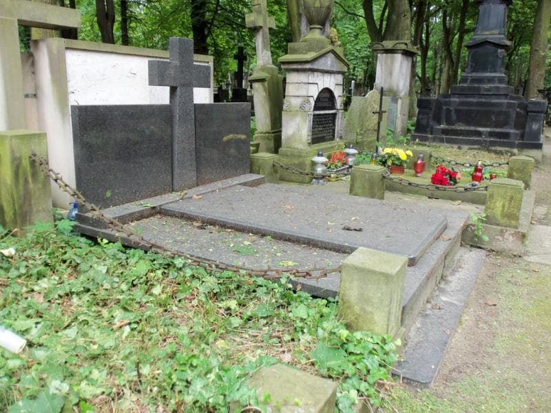 Zdjęcie grobu Szeligowie (1)