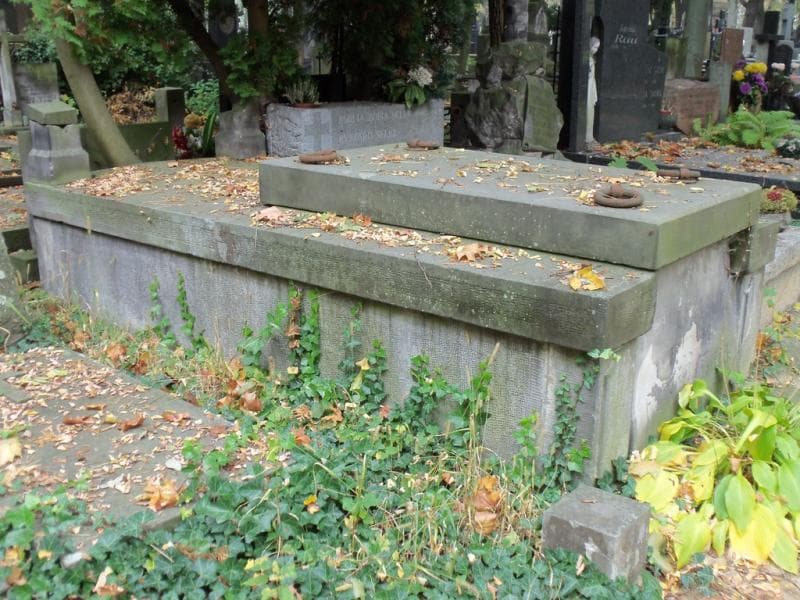 Zdjęcie grobu Styczyńscy (1)