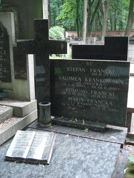 Zdjęcie grobu Stefan Francki (1)