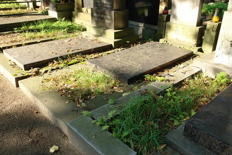 Zdjęcie grobu Feliks Nurzyński (1)