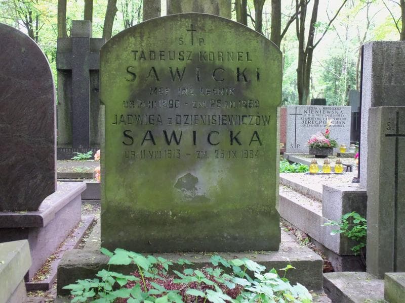 Zdjęcie grobu Tadeusz Kornel Sawicki (2)