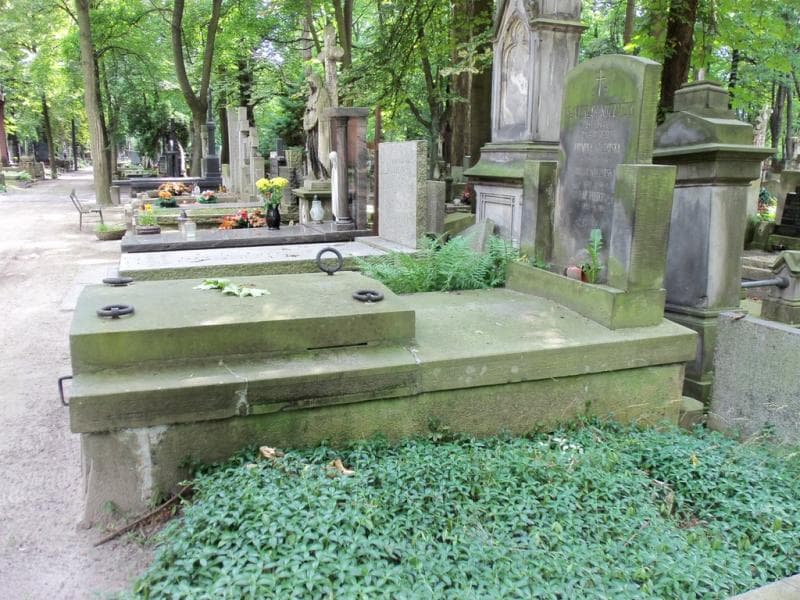 Zdjęcie grobu Ludwika Kuczyńska (1)