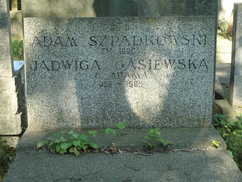 Zdjęcie grobu Jadwiga Gąsiewska (2)