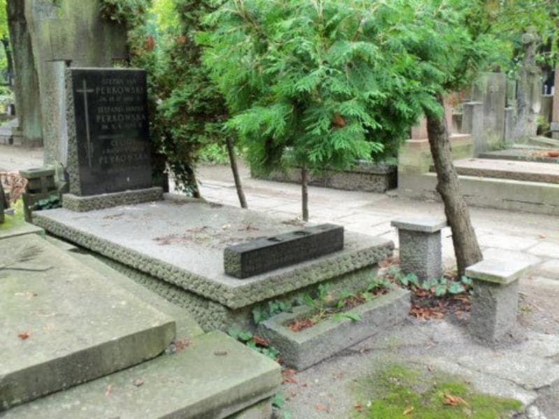 Zdjęcie grobu Stefan Jan Perkowski (1)