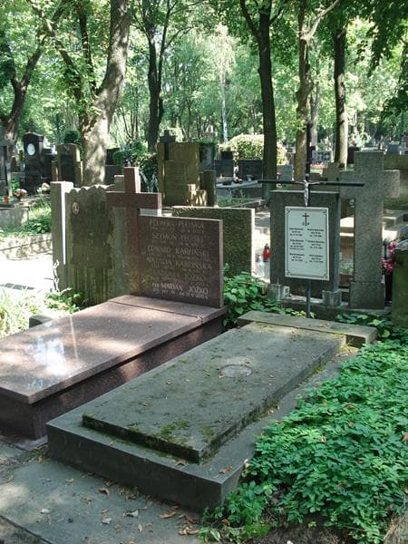 Zdjęcie grobu Adam Bednarski (1)