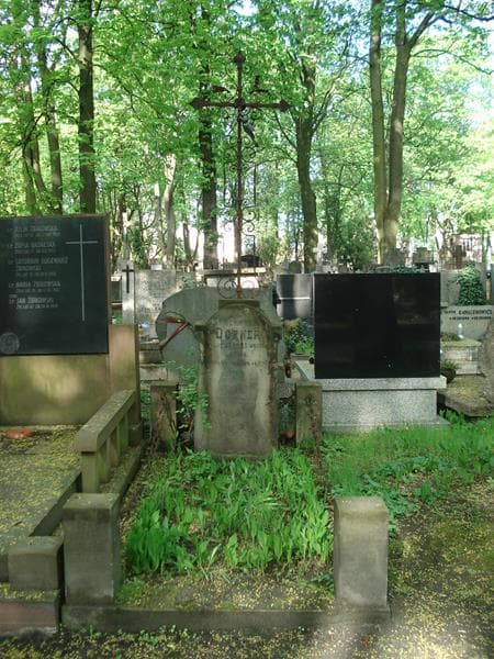 Zdjęcie grobu: Henryk Dorner