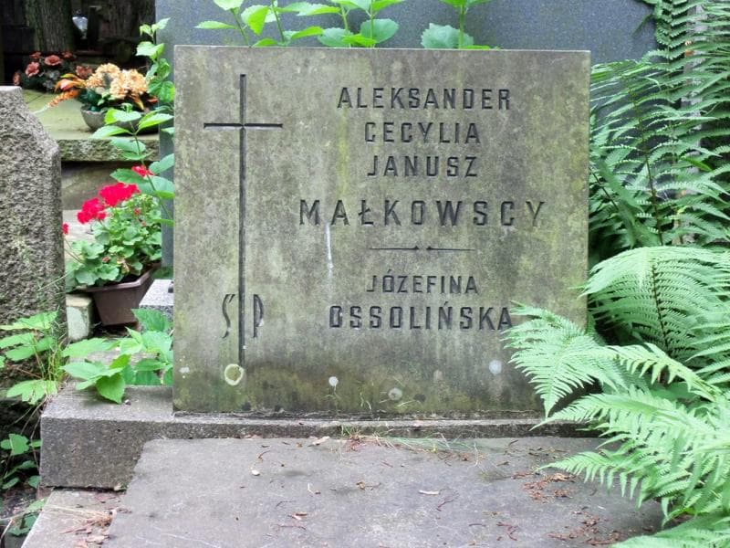 Zdjęcie grobu Józefina Ossolińska (2)