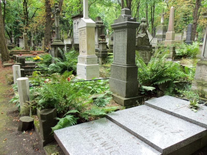 Zdjęcie grobu Feliks Józef Ludkiewicz (1)