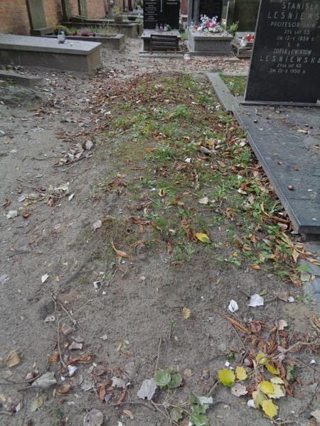Zdjęcie grobu: Pole Grobowe