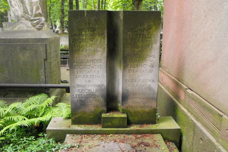 Zdjęcie grobu Aleksander Zborowski (2)