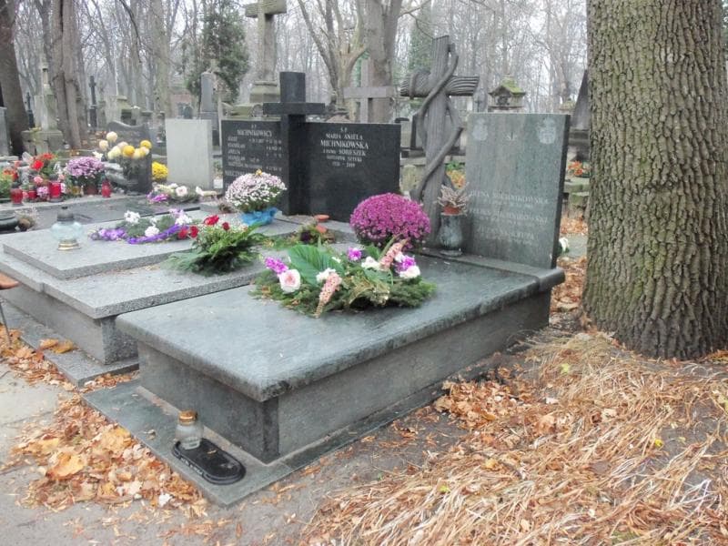 Zdjęcie grobu Feliks Michnikowski (1)