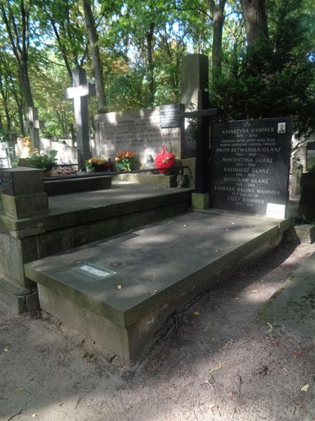 Zdjęcie grobu: Józef Hammer