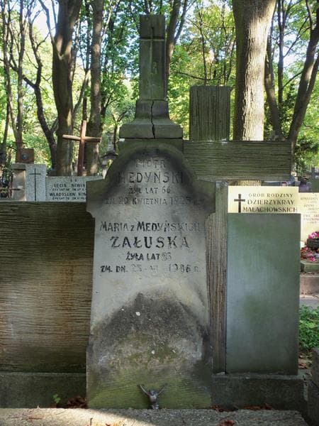 Zdjęcie grobu Maria Załuska (2)