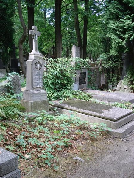 Zdjęcie grobu: Marja Rożejowska