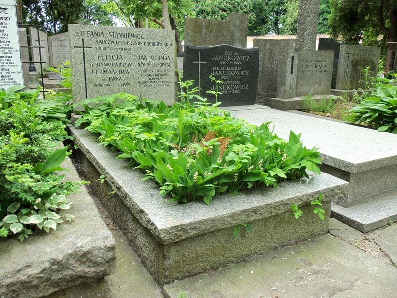 Zdjęcie grobu Jan Uchman (1)