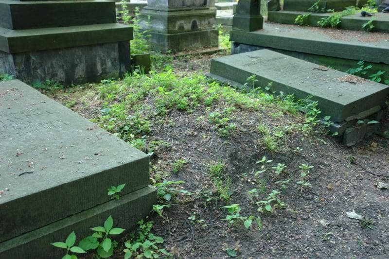 Zdjęcie grobu Pole Grobowe (1)
