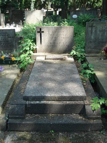 Zdjęcie grobu: Apolonia Wołosz