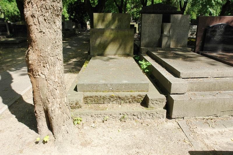 Zdjęcie grobu Krystyna Jelska (1)
