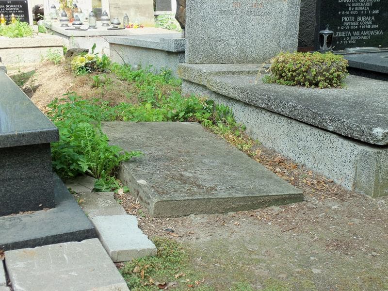 Zdjęcie grobu Maria Jarzębińska (1)
