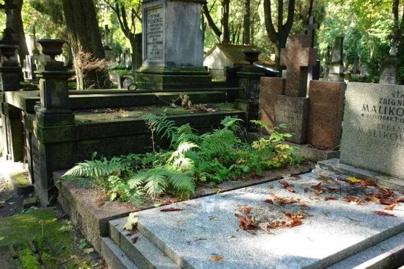 Zdjęcie grobu Janina Szeliga-Mierzejewska Bończa-Pióro (1)