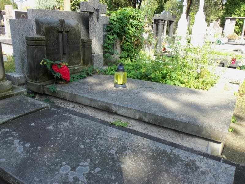 Zdjęcie grobu Cecylia Horn (1)