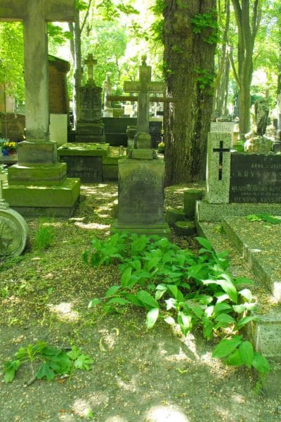 Zdjęcie grobu Kajetan Słodziński (1)