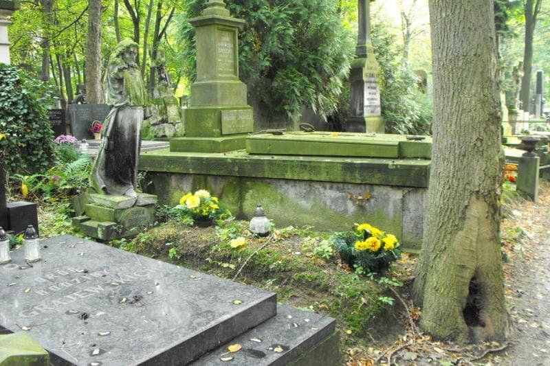 Zdjęcie grobu Zbyszyńscy (1)