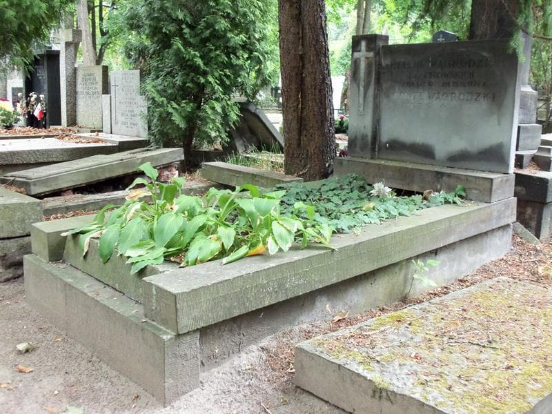 Zdjęcie grobu Paweł Wągrodzki (1)
