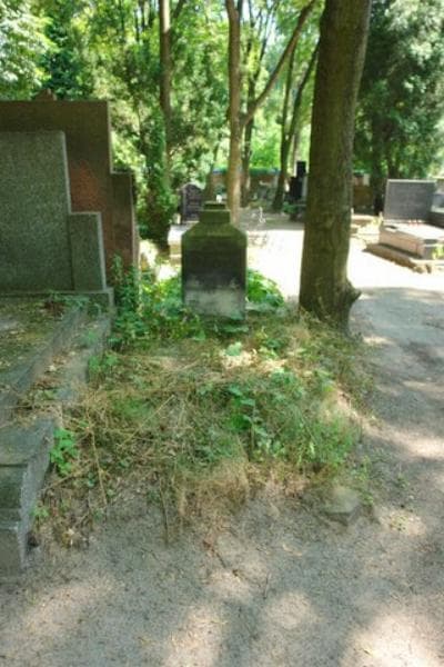 Zdjęcie grobu: Zofia Szklennik