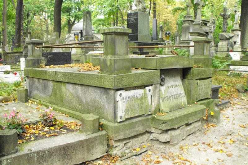 Zdjęcie grobu Horoszewiczowie (2)