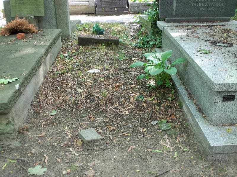Zdjęcie grobu: Pole Grobowe
