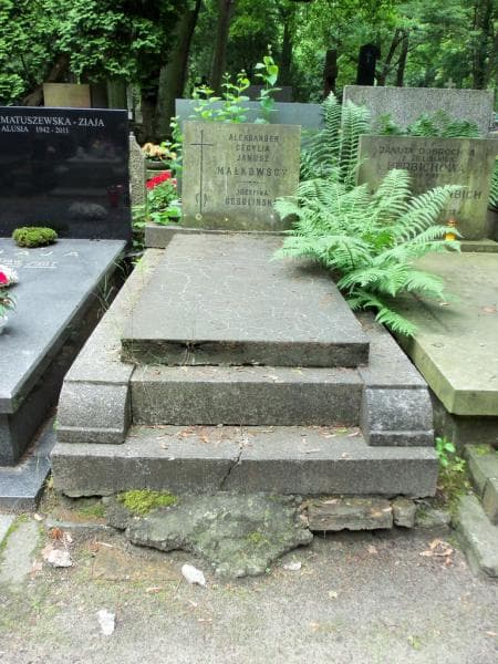 Zdjęcie grobu: Józefina Ossolińska