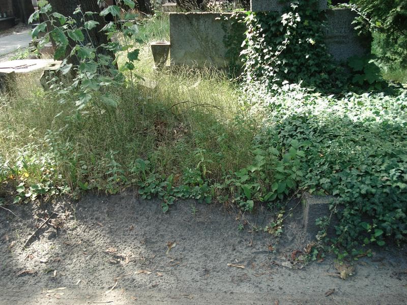 Zdjęcie grobu: Pole Grobowe