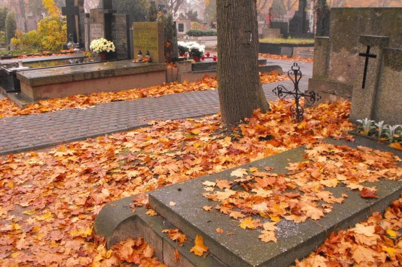 Zdjęcie grobu Anonim (1)