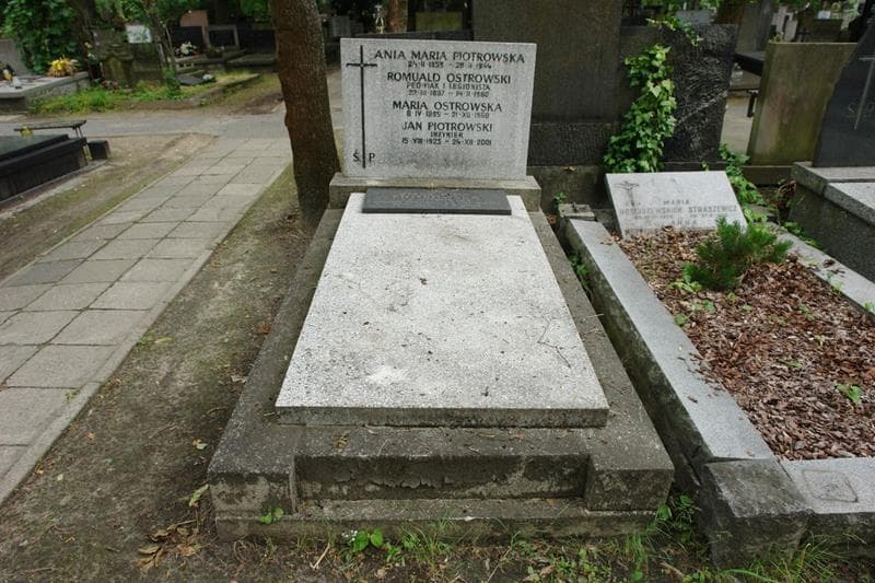 Zdjęcie grobu Ania Maria Piotrowska (1)