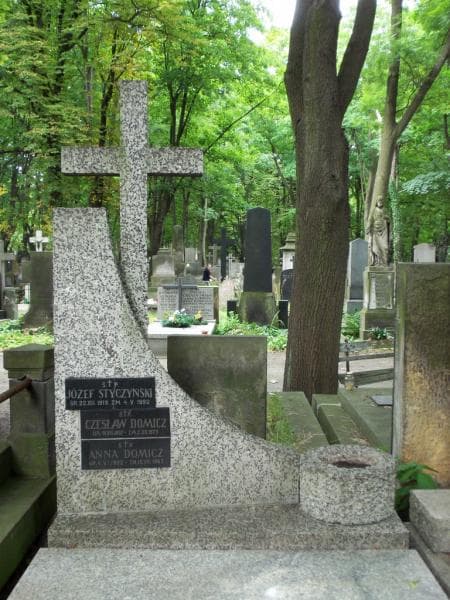 Zdjęcie grobu Czesław Domicz (2)