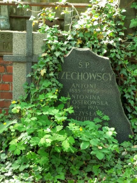 Zdjęcie grobu Antoni Czechowski (2)