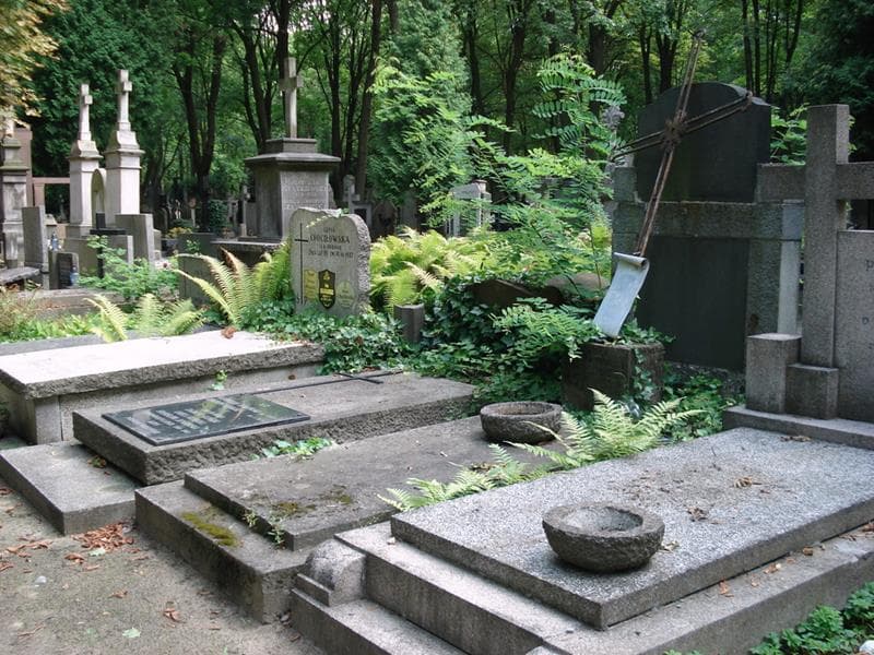 Zdjęcie grobu: Stanisława Kobylińska