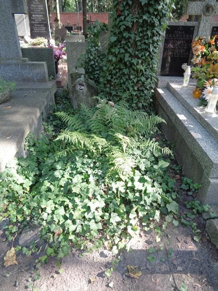 Zdjęcie grobu Maria Maciążek (1)
