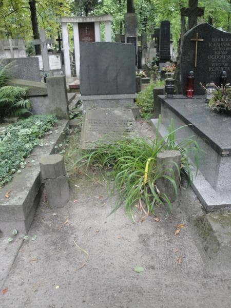 Zdjęcie grobu: Regina Krajewska