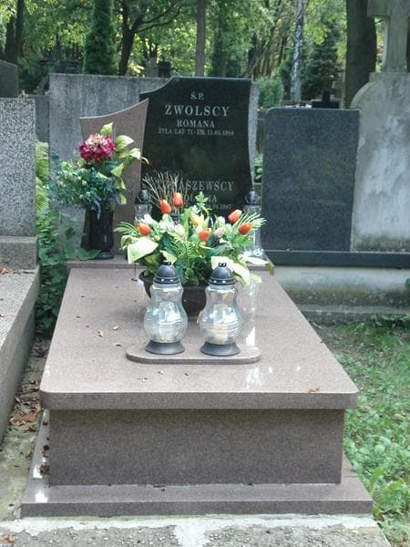 Zdjęcie grobu: Henryk Tomaszewski
