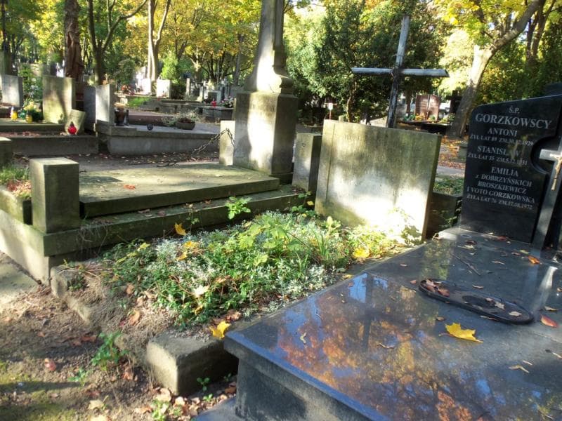 Zdjęcie grobu Maria Wróbel - Krzepisz (1)