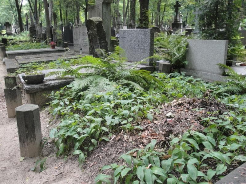 Zdjęcie grobu: Pole Grobowe