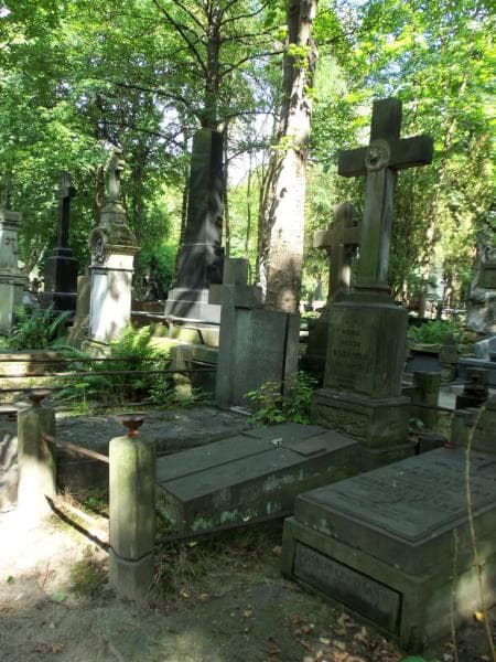 Zdjęcie grobu Elijasz Osiński (1)
