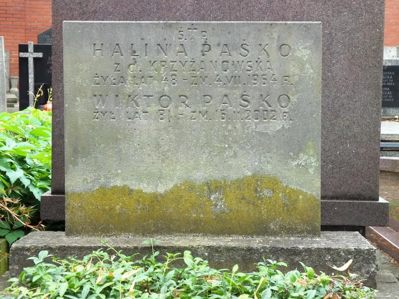 Zdjęcie grobu Wiktor Paśko (2)