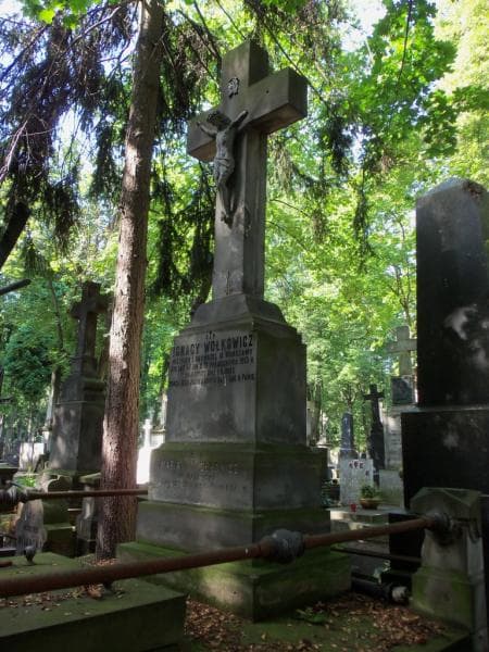 Zdjęcie grobu Ignacy Wołkowicz (2)